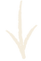 ARROW.png