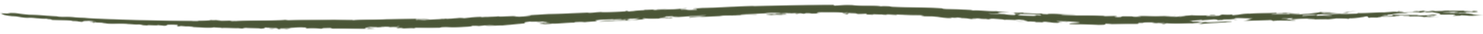 forest.png