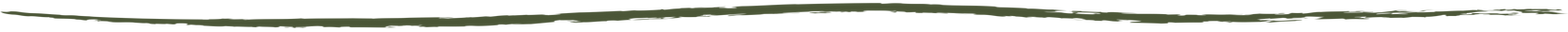 forest.png