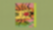 Aboriginal and Torres Strait Islander Art in the Classroom Volume 2